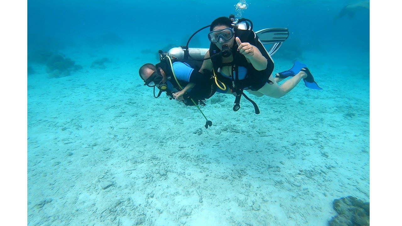 Buceo y Snorkeling Buceo y Snorkeling