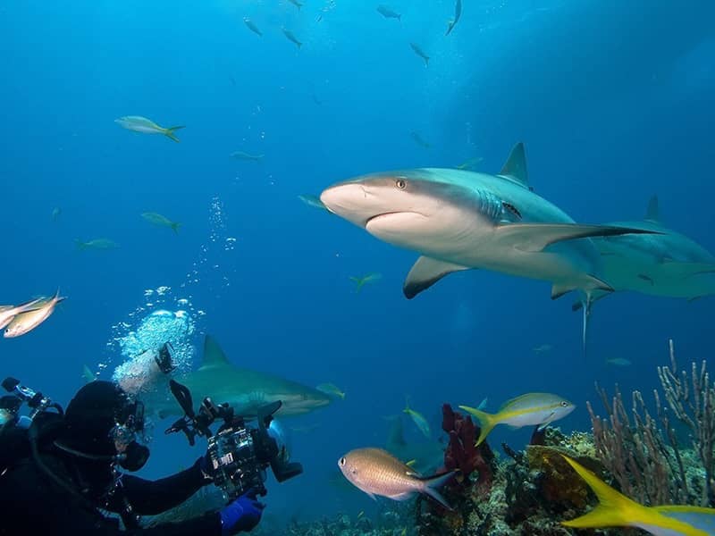 Balneario Playa Santa Lucia Balneario Playa Santa Lucia